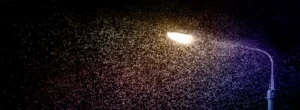Insektenschwarm unter einer Leuchte